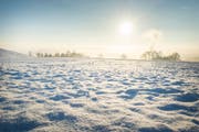 Wird es in der Ostschweiz an den Weihnachtstagen Schnee haben? Diesmal sind weisse Weihnachten nicht auszuschliessen (Bild: Andrea Stalder (Archivbild))