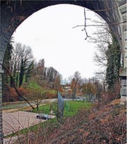Über die Goldach, durch Naturschutzgebiet und Wald und in einem Hang: So würde der Abschnitt Bahnviadukt bis Bruggmühle einer Umfahrungsstrasse verlaufen. (Bild: Fritz Bichsel)