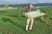 Vor zwei Jahren präsentierte Markus Rüegg das erste Bahnmodell. An der Wega ist Spatenstich für die BMX-Anlage. (Bild: Mario Testa (23. Oktober 2014))