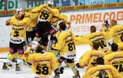 Der Moment, als der Meistertitel feststand: Die Spieler des SC Bern jubeln über die Titelverteidigung. (Bild: Alexandra Wey/KEY)