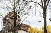 Erste Vorboten der besinnlichen Zeit (Bild: Thi My Lien Nguyen)