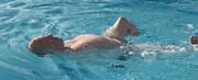 Christian Lohr schwimmt im Becken des Schwimmbades Hörnli in Kreuzlingen. (Bild: pd)