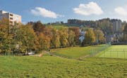 Zwischen dem Sportplatz und dem Altersheim Heinrichsbad soll der Begegnungsort entstehen. (Bild: sso)