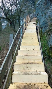 Die Treppe an der Felswand Ochsenberg vom Rundweg Bürgerwingert zur Burg Wartau wurde durch das Wanderwegli-Team erneuert. Der Rundweg Burghalde ist wieder begehbar. (Bild: PD)