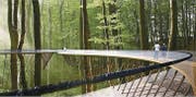 Der Baumwipfelpfad in Mogelsberg soll zwei Meter breit, durchgehend rollstuhlgängig und ganz aus Toggenburger Holz gebaut sein. (Bild: Visualisierung: pd)