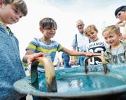 Besucher können experimentieren: Durch Reibung entstehen Klänge, die das Wasser vibrieren lassen. (Bilder: Donato Caspari)