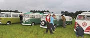 VW-Busse dominieren das Bild auf der Wiese beim Hermannshof in Güttingen. (Bild: Daniela Ebinger)