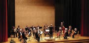 Das Orchester Divertimento Kreuzlingen-Konstanz. (Bild: Manuela Olgiati)