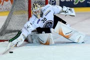 Elvis Merzlikins liebt das Rampenlicht und die Provokation. (Bild: (Urs Lindt/freshfocus))