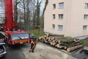 Mit einem Kran werden die Baumstämme Stück um Stück aus dem Mühlebachtobel geerntet. (Bild: Jolanda Riedener)