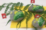 Das Parteilogo auf Steine gemalt. Die Ortspartei SVP Bussnang-Affeltrangen liess sich für die Dekoration etwas einfallen. (Bild: Sebastian Keller)