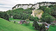 In dieser Felswand am Blattenberg wurde einst Kalkstein abgebaut. Hier möchte die Robert König AG das Lockermaterial abbauen und danach eine Deponie für sauberen Aushub und Bauschutt einrichten. (Bild: Max Tinner)