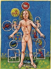 Die Sternbilder des Tierkreises finden sich im Körper wieder: Codex Schürstab, Nürnberg, um 1472 (Bild aus Katalog zu: Kosmos-Weltentwürfe im Vergleich)