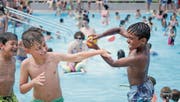 Hitziger Sommerstart: Im Mai und Juni verzeichneten die Badis der Region einen Besucheransturm. (Bild: Michel Canonica (Goldach, 21. Juni 2017))