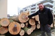 Die kranken Eschen sieht man im Querschnitt deutlich, wie Revierförster Bernhard Herbert zeigt. (Bild: Jolanda Riedener)