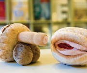Geschlechtsteile aus Stoff aus der «Sex-Box» für den Aufklärungsunterricht an Schulen in Basel. (Bild: ky)