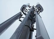 Zurzeit hat Salt im Appenzellerland 30 Mobilfunkantennen in Betrieb. Das Unternehmen sucht weitere Standorte. (Bild: APZ)