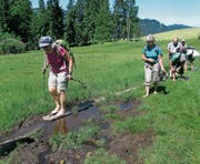 Die Geniessergruppe der Naturfreunde Werdenberg unterwegs zur Wolzenalp. (Bild: PD)