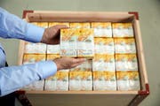 Am Mittwoch kommen die neuen Zehnernote in Umlauf. (Bild: SCHWEIZERISCHE NATIONALBANK)