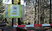 Unmissverständlich wird darauf hingewiesen, dass der Weg hinab ins Gmündentobel von der Steiner Seite her gesperrt ist. (Bild: MC)