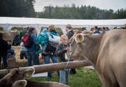 Die Viehschau ist gleichzeitig ein Dorffest. (Bild: Ralph Ribi (7. Oktober 2016))