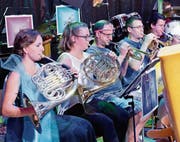 «Under the sea»: Die Musikanten waren dem Motto entsprechend verkleidet. (Bilder: Donato Caspari)