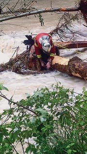 Handarbeit: Die Feuerwehr birgt bis zu 25 Meter lange Stämme. (Bild: pd)