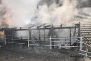 Die Gartenlaube brannte trotz des raschen Eingreifens der Feuerwehren weitgehend nieder. (Bild: Kantonspolizei St.Gallen)