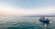 Berufsfischer bei ihrer Arbeit auf dem Bodensee kurz nach Sonnenaufgang. (Bild: Reto Martin)