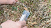 Der Kot wird in Plastikröhrchen verpackt und…