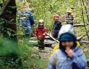 Im Wald machen Kinder alle möglichen Sinneserfahrungen, was sich nachhaltig auf Motivation, Lernverhalten und Kreativität auswirkt. (Bild: ap/Ted S. Warren)