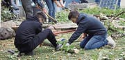 Zwei Jugendliche sägen Bäume im Rahmen des Projekts. (Bild: PD)