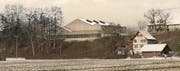 Die neue Turnhalle, wie sie die Architekten in einer Visualisierung sehen. Die drei Giebel markieren (von links nach rechts): Foyer, Doppelturnhalle und Bühnenanbau. (Bild: pd/Lauener Baer)