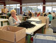 Rund 90 Männern und Frauen bietet das Dock in Haag eine Arbeit. (Bild: Corinne Hanselmann)