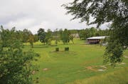 Eine Option ist, die Reithalle in die Mitte des Grundstücks zu verlegen, damit sie als Zentrumsgebäude für den Familienpark dienen könnte. (Bild: Philipp Haag)