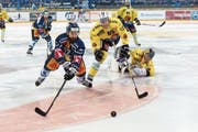 Das spektakuläre Siegesgoal zum 2:2-Ausgleich in der Serie: Der Zuger Fabian Schnyder (links) vor dem Berner Ramon Untersander und dem zu spät kommenden Goalie Leonardo Genoni. (Bild: Daniela Frutiger/Freshfocus (Zug, 13. April 2017))