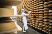 Dem Nachwuchs schmeckt die Käsebranche nicht mehr. (Bild: Ralph Ribi)