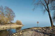 Das Amt für Umwelt hat Massnahmen eingeleitet, um der Verschmutzung in der Salmsacher Aach entgegenzuwirken. Ganz zufrieden sind aber noch nicht alle. (Bild: Reto Martin)