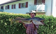 Fischereipräsident Burger mit seinem 121 Zentimeter langen Prachtfang. (Bild: PD)