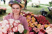 Die Veranstaltung beeindruckt mit einer Vielzahl an Rosensorten. (Bild: Donato Caspari)