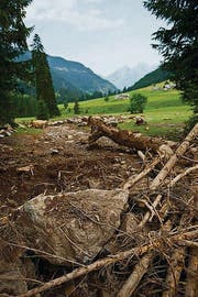 Schilstal nach dem Unwetter vom 12. Juli. (Bild: ky/Ennio Leanza)