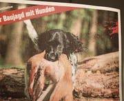 Ein Apportierhund soll Tierschützer motivieren, die Initiative zu unterschreiben. (Bild: wu)