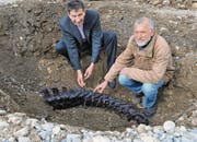 Robin T. Alder (links) und Urs Oberli zeigen die Fundstelle des Saurierknochens. (Bilder: Sabine Schmid)