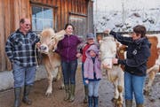 Walter, Tamara, Matthias, Kathrin und Monica Brander (von links) sind ein Züchterteam. (Bild: Martin Brunner)
