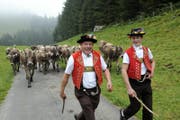 Bild: Urs Bucher