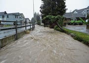Aus dem Dorfbach wurde 2015 ein reissender Fluss. Das Bachbett soll nun tiefer und breiter werden. (Bild: PD)