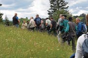 Fachleute lassen sich von Landwirt Manfred Baumann über einen Auslichtungsschlag informieren.