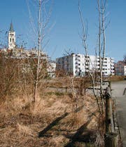 Kleine Bäume und Gras: Das Güterschuppenareal liegt seit über zehn Jahren brach. (Archivbild: Markus Schoch)