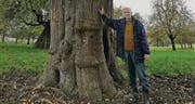 Emil Nater mit seinem mächtigen Birnbaum. (Bild: Reto Martin)