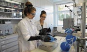 Alle Sinne ansprechen: Die Schülerinnen und Schüler der Kantonsschule können im Chemieblock an verschiedenen Posten ihre eigenen und teils überraschenden Erfahrungen machen. (Bild: pag)